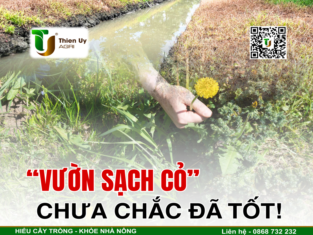 ẢNH HƯỞNG CỦA LẠM DỤNG THUỐC CỎ TRONG VƯỜN
