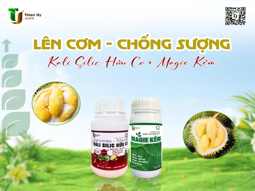 LÊN CƠM - CHỐNG SƯỢNG
