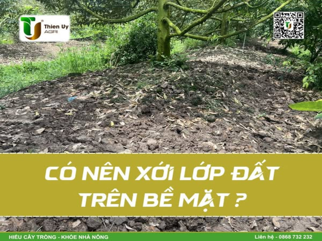 CÓ NÊN XỚI LỚP ĐẤT TRÊN BỀ MẶT